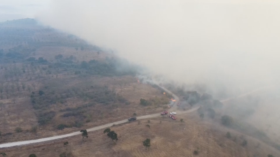 Частично бедствено положение в Свиленград и Тополовград заради пожарите в Сакар