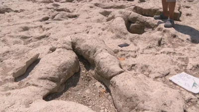 Откриха следи от динозавър в Тексас