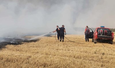 Пожарът между Тополовград и Свиленград е овладян