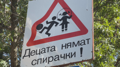 Пътни знаци край училища в София са скрити от дървета и клони