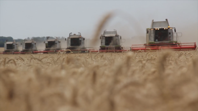 Какви са печалбите на зърнопроизводителите досега и колко се очаква
