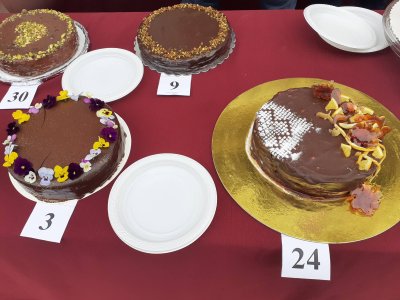 Фестивал на тортата "Гараш" в Русе (СНИМКИ)
