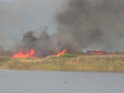 Голям пожар гори край Атанасовското езеро в Бургас Сигнал за
