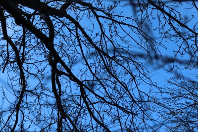 И днес в цялата страна ще остане много ветровито с