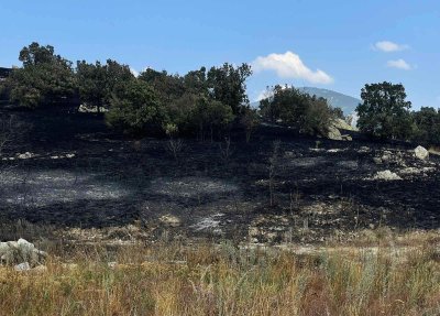 Потушен е пожарът в района северно от военния полигон Тюлбето