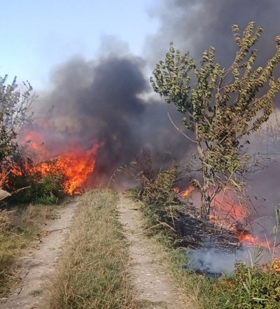 Три екипа от огнеборци гасят пожар в сухи треви и