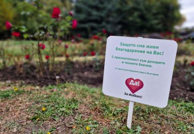 Седемнадесет рози бяха засадени в розовата градина зад Националния дворец