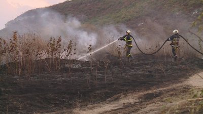 Голям пожар беше овладян във Варненско