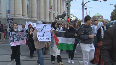 Мирен протест в подкрепа на палестинския народ се проведе тази