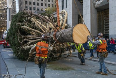Работници подготвят коледната елха на центъра Рокфелер за 2023 г