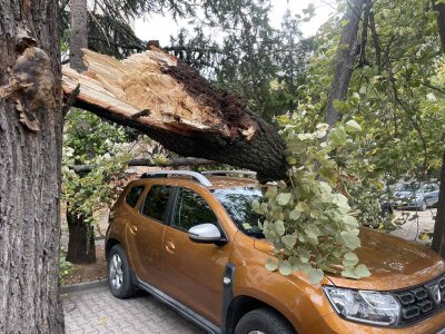 Паднала мазилка, счупени дървета и премазани автомобили заради силния вятър в страната