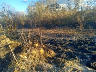 Сухи треви горяха в района на Аспаруховия мост във Варна