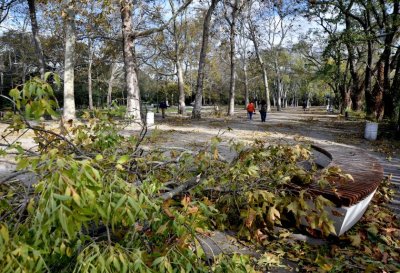 Раздават дървесината, събрана след бедствието във Варна, на хора в нужда