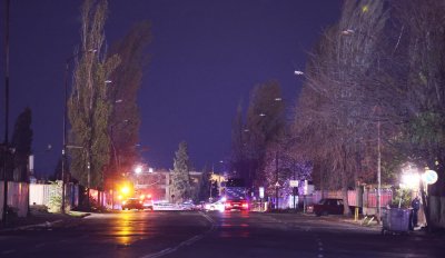 Мъж загина, след като дърво падна върху колата му в София