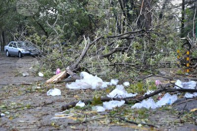 Бурен вятър и в Стара Загора - паднали дървета и материални щети по автомобили