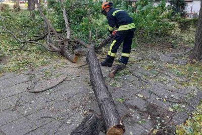 На 27 сигнала за инциденти заради вятъра са реагирали от пожарната в Пловдив