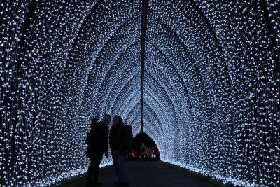 Светлинен спектакъл озари Кралската ботаническа градина в Лондон (Снимки)