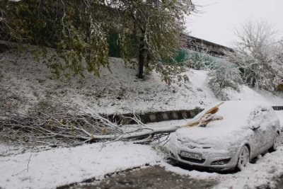 Усложнена пътна обстановка и в Югозападна България Стотици паднали дървета