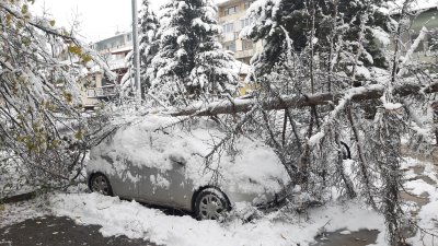 Истинска зима: Сняг затрупа България (Снимки)