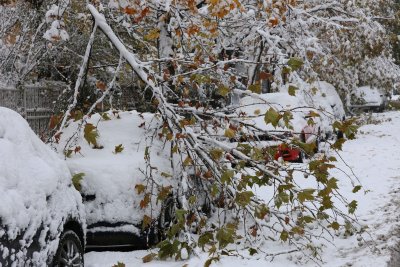 България в капана на снега: Какви са щетите след обилния снеговалеж