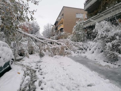Продължават да са без ток някои части на София и десетки общини в Западна България