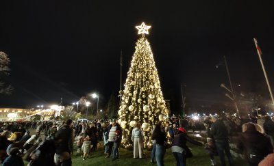 Запалиха светлините на коледната елха в София (СНИМКИ)