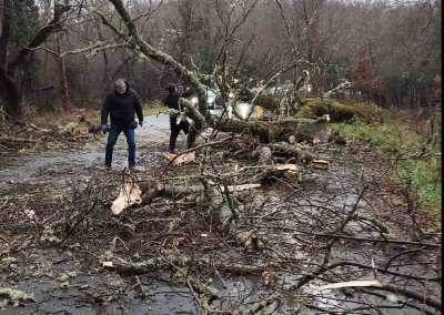 Дърво падна на пътя Созопол - Приморско