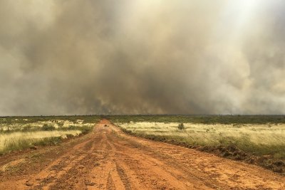 Гореща вълна в Австралия, расте рискът от пожари