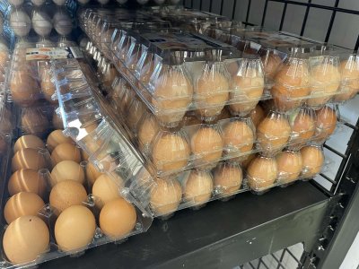Сигнали за измама с вносни яйца и пилешко месо