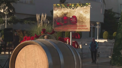Празник на младото вино в Сандански