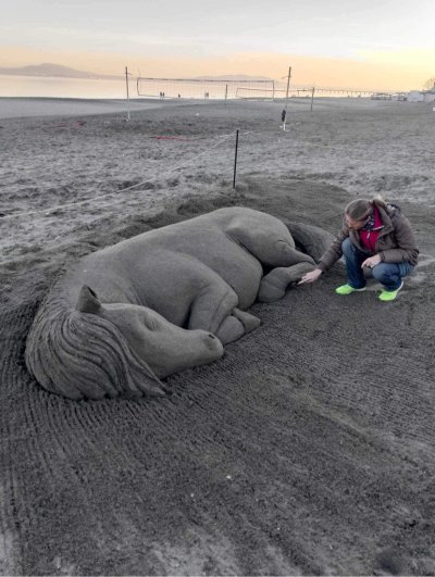 Фигура на спящ кон от пясък се появи на плажа
