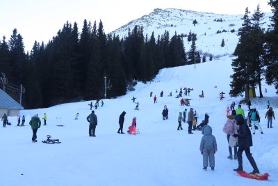Столичната община организира превоз за деца и родители, които искат да карат ски на Витоша