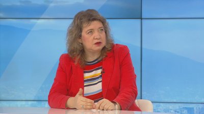 Наталия Киселова: С промените в Конституцията парламентът концентрира все повече власт