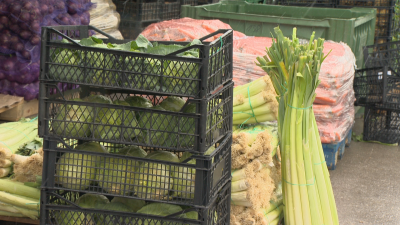 Храните могат да поскъпнат заради ново административно изискване предупредиха зеленчукопроизводители