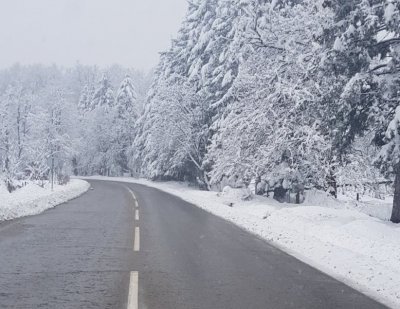 Продължителният снеговалеж и рязкото застудяване на времето доведода до усложнена