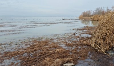 Сигнали за неприятни миризми от езерото Вая край Бургас
