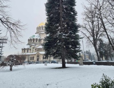 Пешеходци сигнализират за непочистени тротоари в София (СНИМКИ)