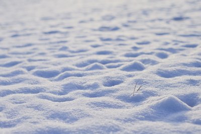 Снежна покривка достигаща 10 метра дълбочина се е образувала на