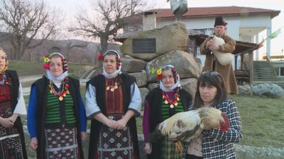 По традиция на 2 февруари във варненското село Голица се