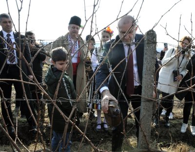 Президентът Румен Радев ще посети село Покрайна област Видин по