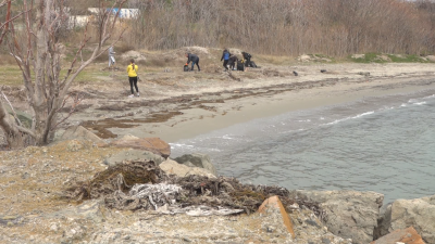 Празнична акция за почистване на плажа организираха в "Сарафово"
