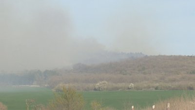 Гори пожар в борова гора между селата Кипра и Повеляново