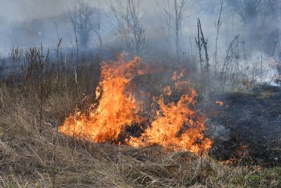 Пожар гори край Копривщица съобщиха от МВР Огънят пламнал вчера