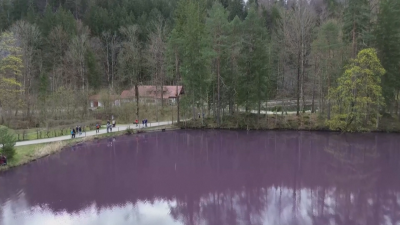Езеро естествено се оцвети в лилаво в германския град Фюсен
