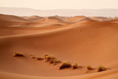 Голямо количество прах от пустинята Сахара се намира над Западна