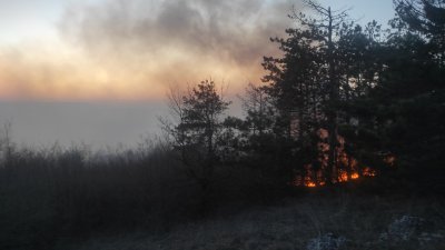 120 дка гора горят вече пети ден край Девня (СНИМКИ)
