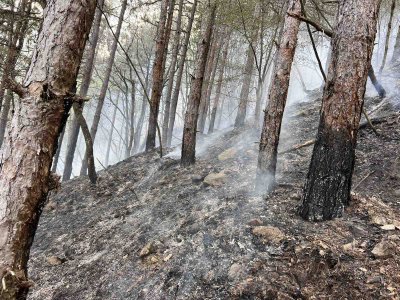 Пожар горя в местността Градище в землището на село Крупник