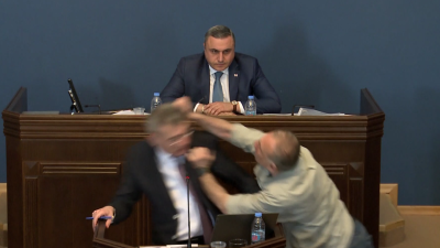 Бой в грузинския парламент Причина за сблъсъци между депутати стана