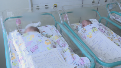 В Майчин дом спасиха близнаци които са се развивали в