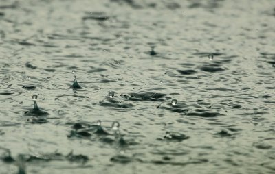Жълт код за проливни валежи в западната половина от страната